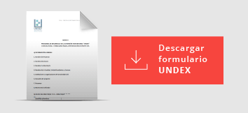 descargar Form UNDEX